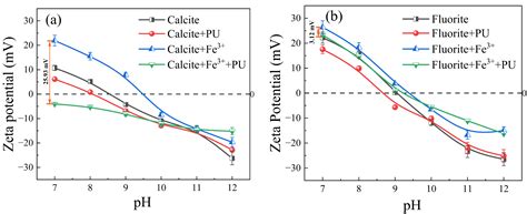 The Role of Fe(III) in Selective Adsorption of Pullulan on Calcite ...