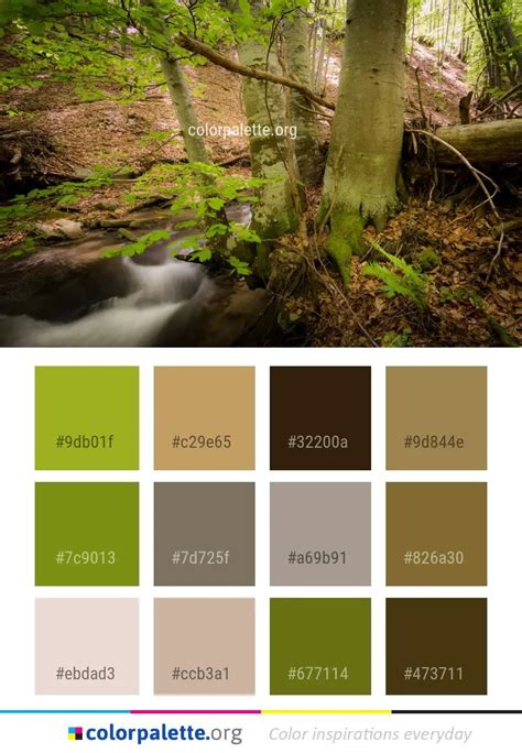 Nature Color 的图像结果