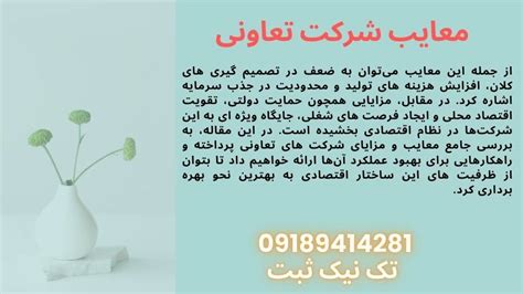 Cooperative Advantages and Disadvantages 的图像结果