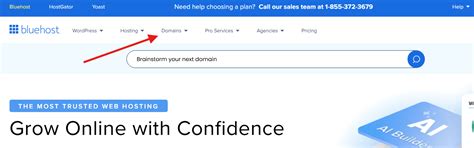 What Are Domain Names Explained for Businesses & How They Work