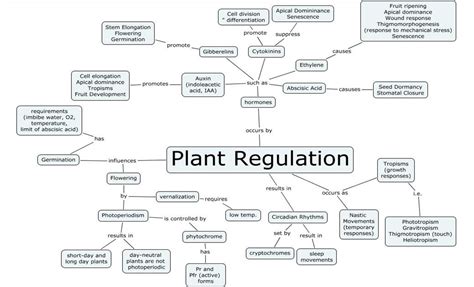 Mind map — lesson. Science CBSE, Class 10.