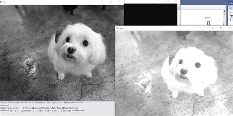 Image result for OpenCV for GUI Testing