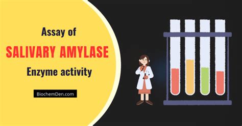 Assay of Urease Enzyme Activity (Enzymology Practical Protocol)