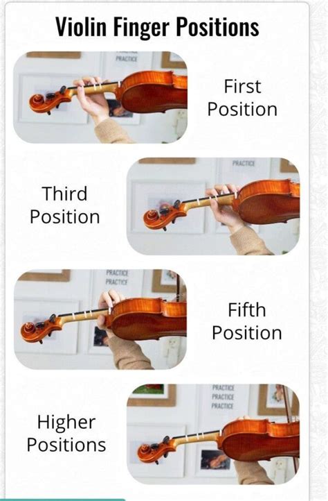 Violin 的图像结果