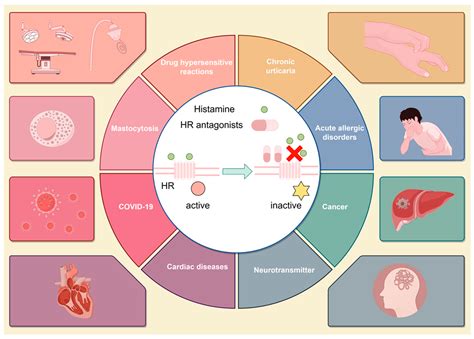 Combination of H1 and H2 Histamine Receptor Antagonists: Current ...