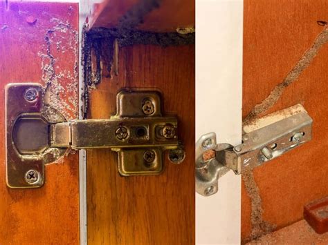 Termites: వర్షాకాలంలో మీ ఇంట్లో ఉన్న ఫర్నీచర్, గోడలకు చెదపురుగులు ...