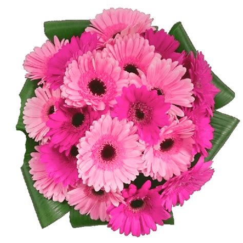 Custom Red Gerbera - DP Saini Florist & Baker's