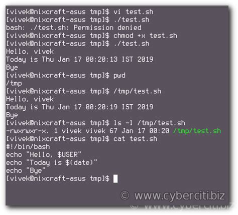Linux Command in Shell Script 的图像结果