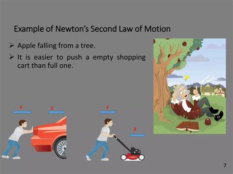 Physics Newton 的图像结果