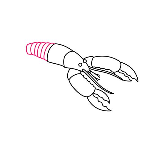 Image result for Simple Lobster Drawing