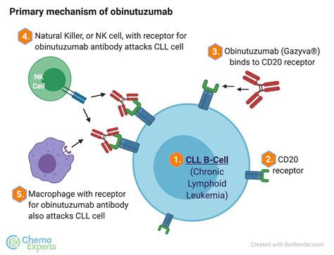 Acalabrutinib (Calquence®) + Obinutuzumab (Gazyva®) for CLL | ChemoExperts
