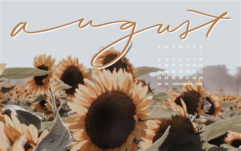 august wallpaper aesthetic