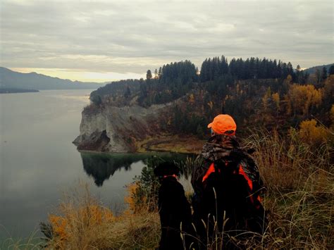 Hunting | Washington Department of Fish & Wildlife