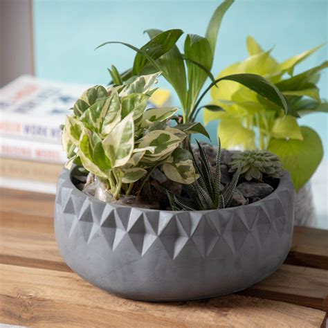 Bort-Dark Concrete-Decorative Planter with Diamond Cuts with Drainage ...