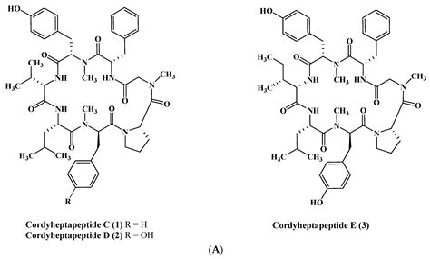 A Comprehensive Review of Bioactive Peptides from Marine Fungi and ...