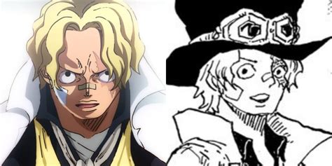 One Piece: How Sabo Survived, Explained