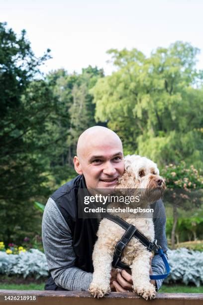 Image result for Adult Male Cockapoo