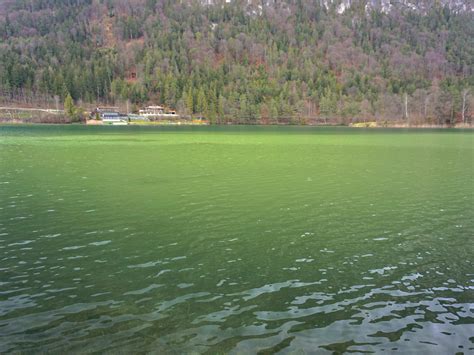 Saving the Lake Lifestyle - CLEAN-FLO