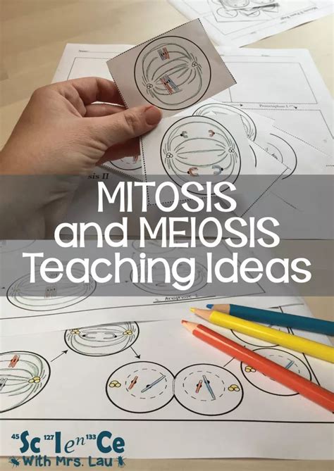 Free Lesson Biology Cell Divison 的图像结果