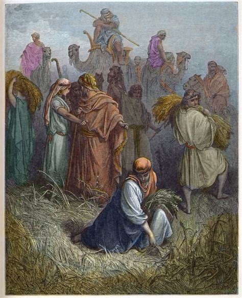 Ruth and Boaz - Ruth working in the fields of Boaz (engraving in The ...