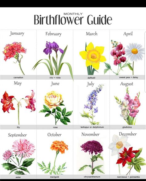 Birth month flower chart for tattoos :) | Birth flower tattoos, Birth ...