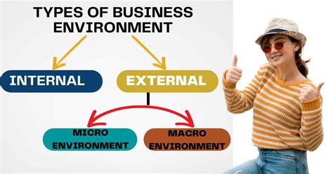 Image result for Types of Business Environment
