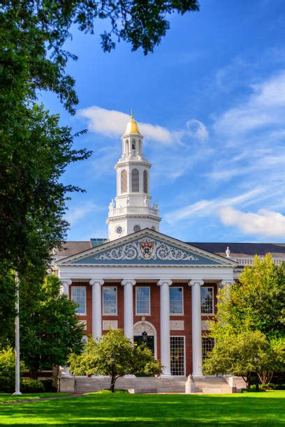 Image result for HBS Library