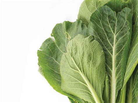 Mustard Greens