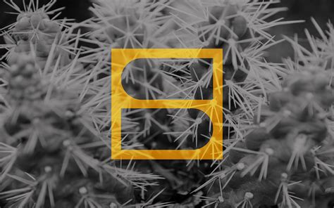 Create Prototype 的图像结果