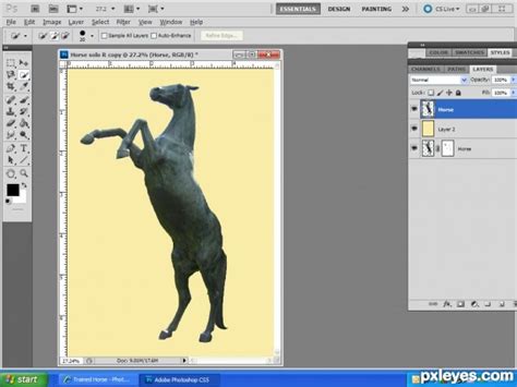Photoshop Guide - The Making Of Remembering the gallant horse ...