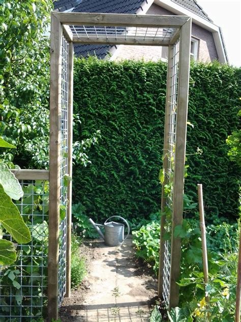 Image result for pergola druivenstruiken