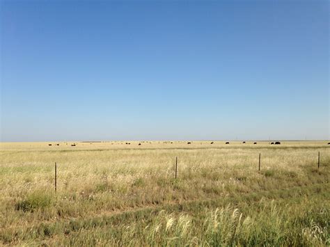 Elevation of TX-, Amarillo, TX, USA - Topographic Map - Altitude Map