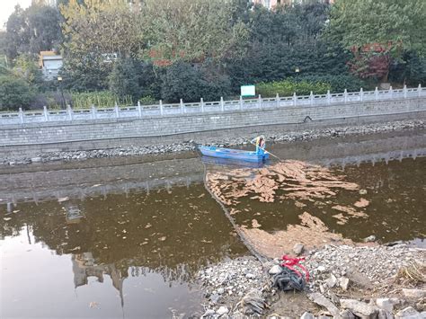 许光友副市长调研会峰渠和来安路出水口裸露水体整治工程_滁州市重点工程建设管理处
