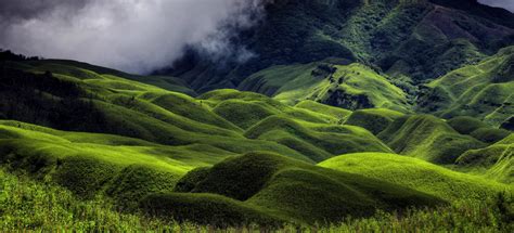 ELEMENT Government of Nagaland