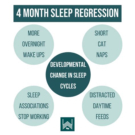 Baby Sleep Regression Timeline at Jamie Gibb blog