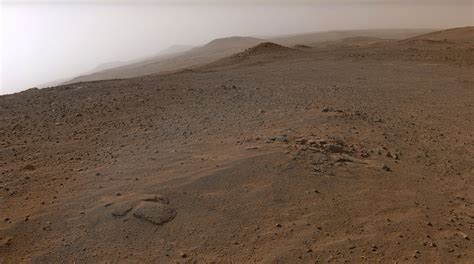 Perseverance 的图像结果