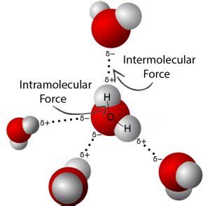 Image result for Intramolecular Forces Explained