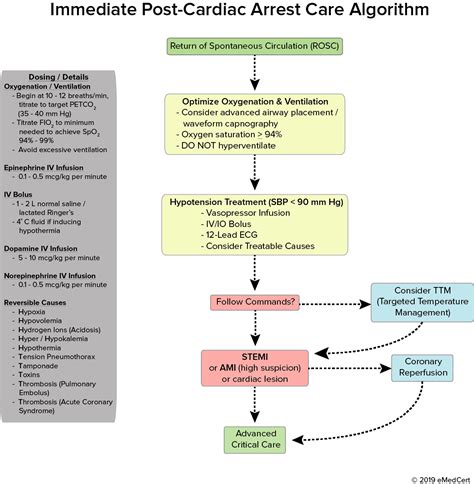 Image result for ACLS Code Algorithm