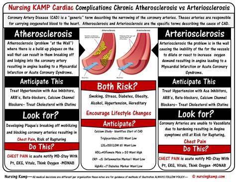 Difference Between Atherosclerosis And Arteriosclerosis In A Table Form ...