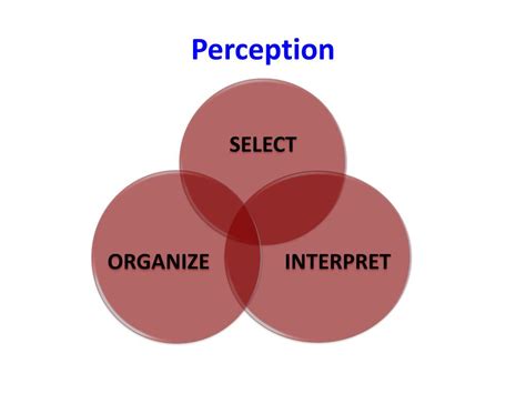 Perception Tutorial 的图像结果