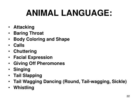 JavaScript Language Animal 的图像结果