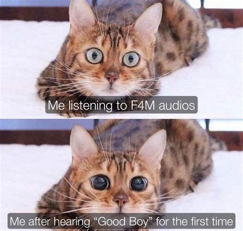 Those two 𝓜𝓪𝓰𝓳𝓬𝓪𝓵 𝓦𝓸𝓻𝓭𝓼 (what was it like for your first time hearing ...