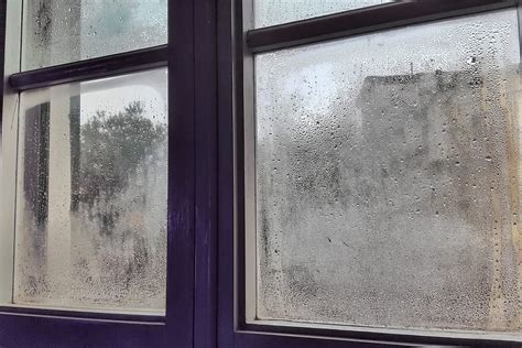 This Simple Hack Stops Condensation on Your Windows | Family Handyman