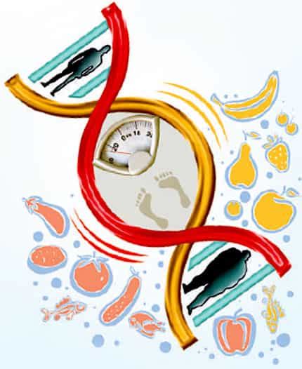 Obesity? Blame it on your genes | Health