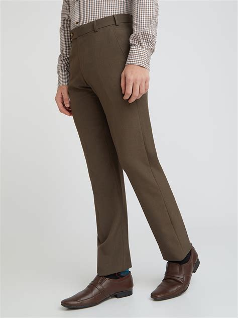 Park Avenue Men Brown Regular Fit Solid Trouser – MyRaymond