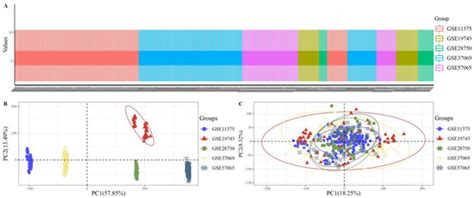 LC-MS/MS-Based Serum Metabolomics and Transcriptome Analyses for the ...
