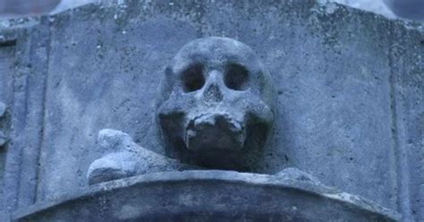 https://images.pond5.com/stone-skull-sculpture-monument-footage-095217347_iconl.jpeg