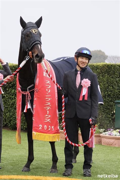 ピコチャンブラック (Piko Chan Black) | 競走馬データ - netkeiba