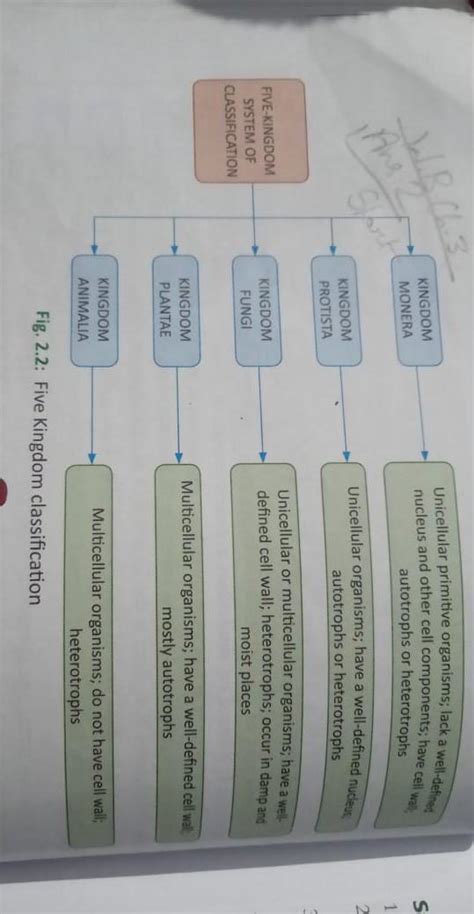 describe two three four and five kindom classification - Brainly.in