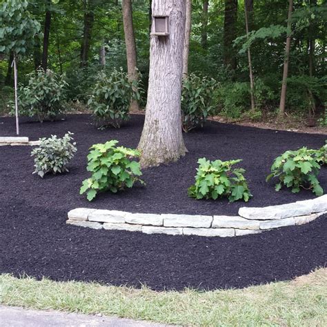 When Should I Mulch My Yard in the Spring? - Straight Line Landscaping LLC